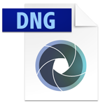 DNG icon