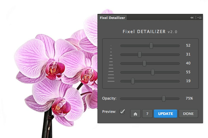 Detailizer GUI