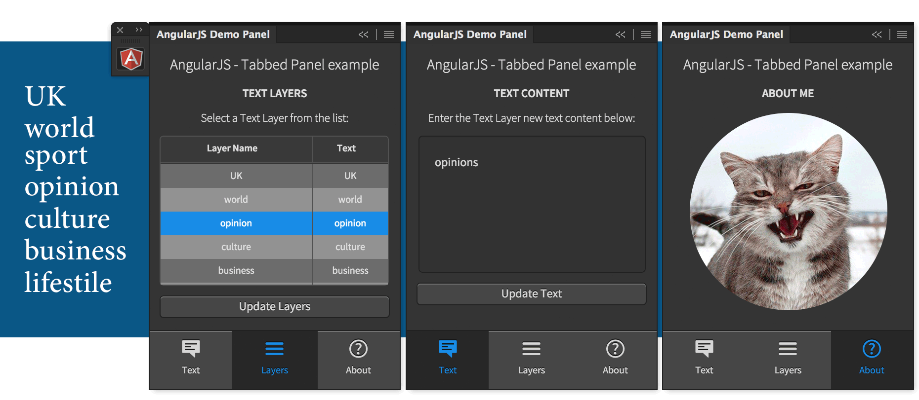 AngularPanel